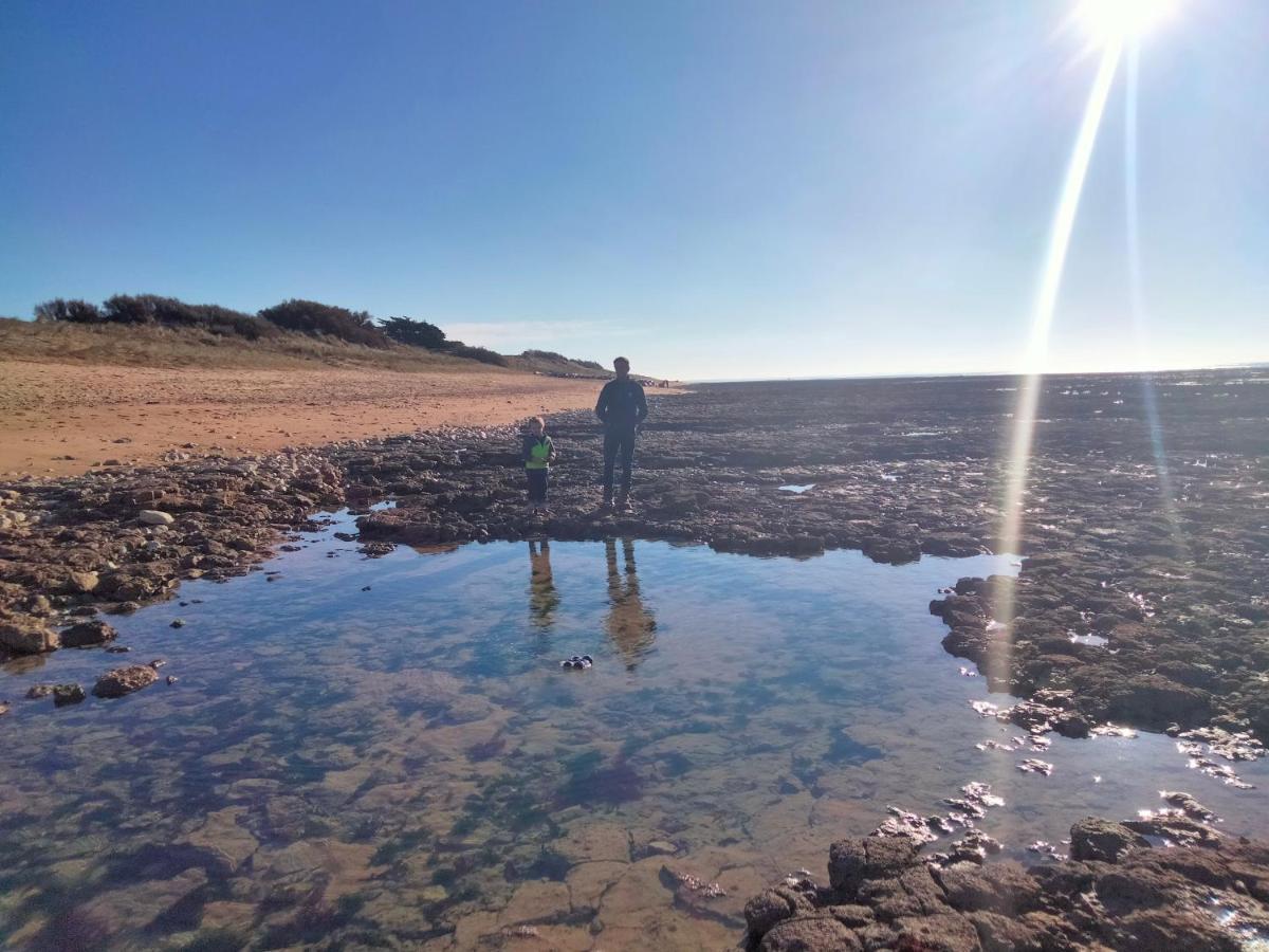 Les Pieds Dans L'Eau Acces Direct A La Plage La Cotinière Eksteriør bilde