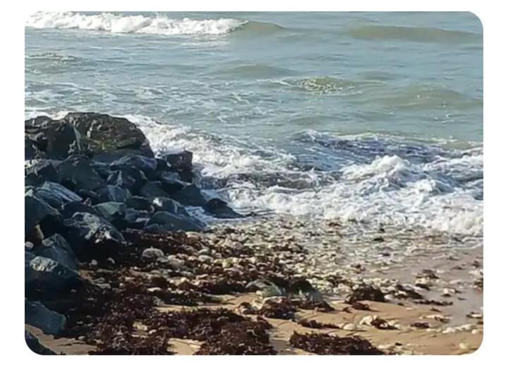 Les Pieds Dans L'Eau Acces Direct A La Plage La Cotinière Eksteriør bilde